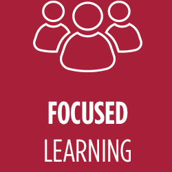 Focused Learning
