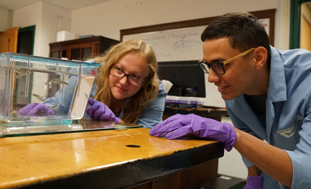 George Alden Trust body photo