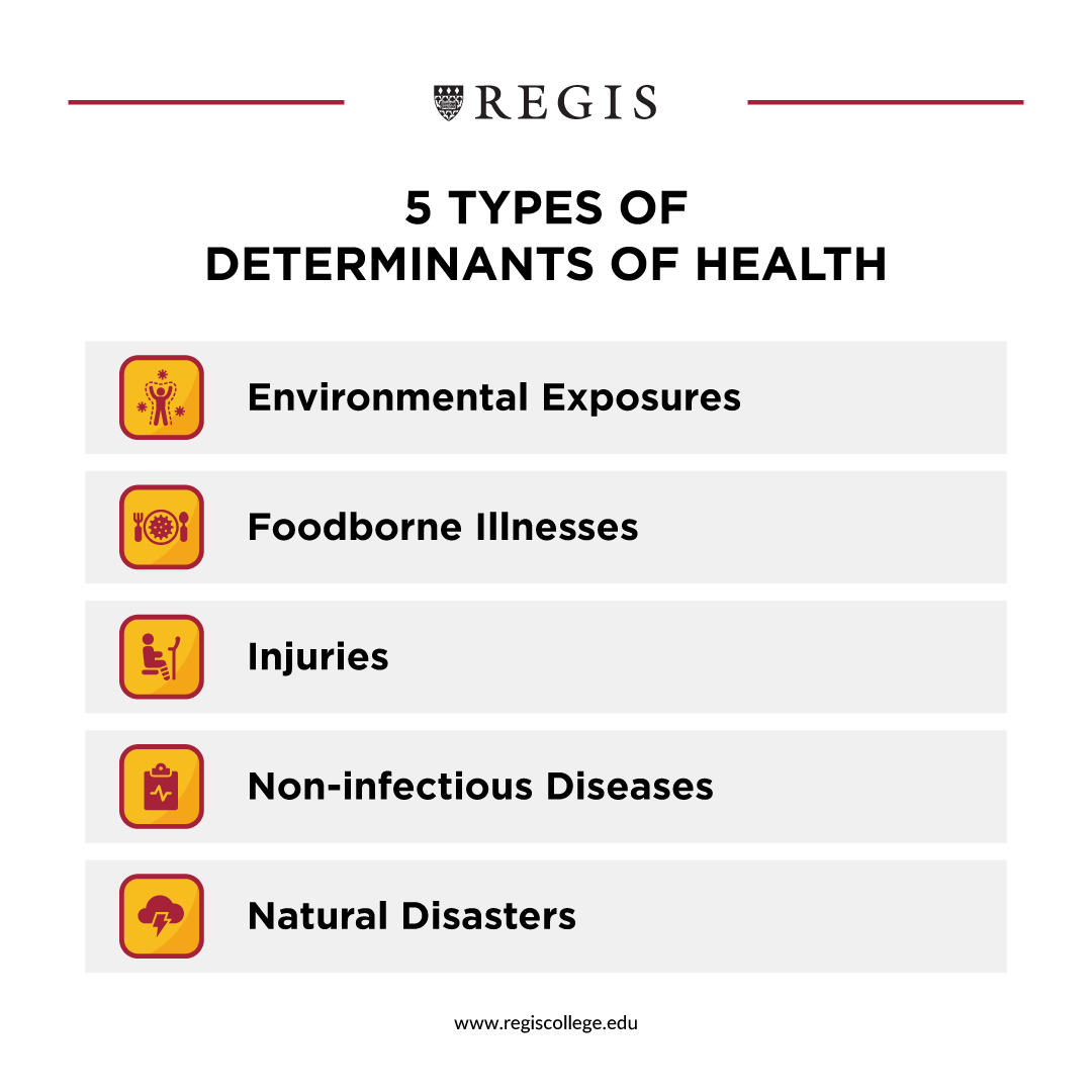 5 Types of Determinants of Health