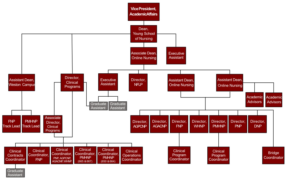 Regis College graduate nursing organization chart